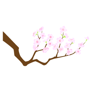 桜の枝の無料イラスト17